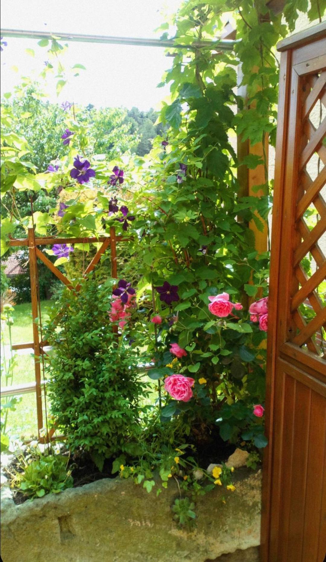 Apartment Mit Gartenblick