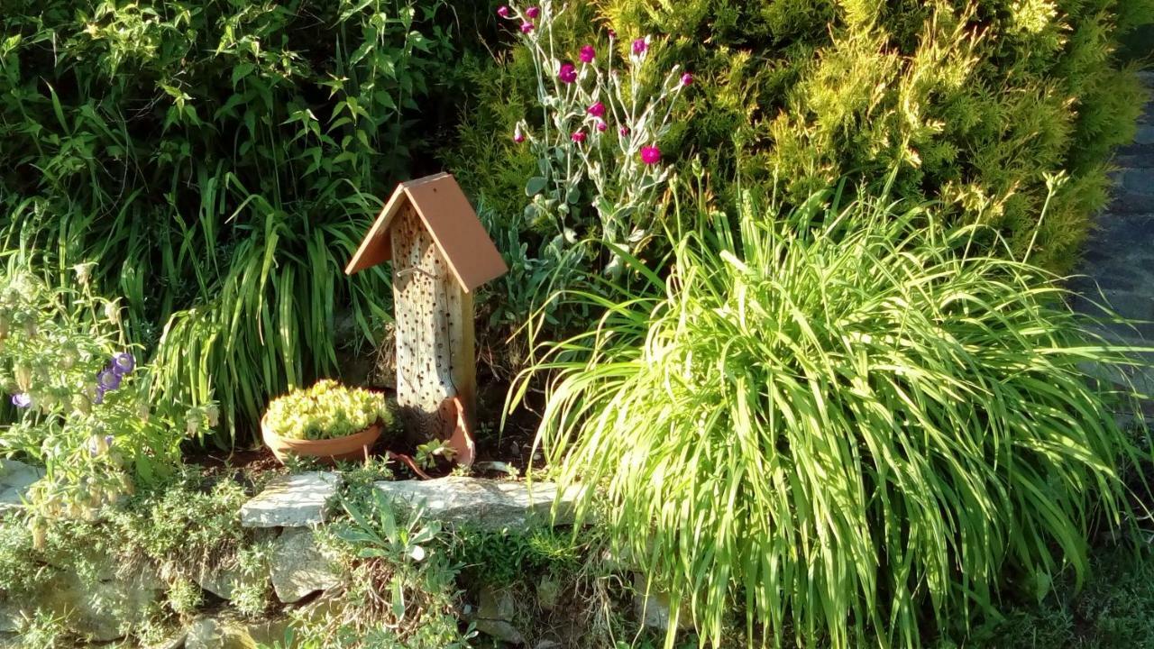 Apartment Mit Gartenblick Eckersdorf