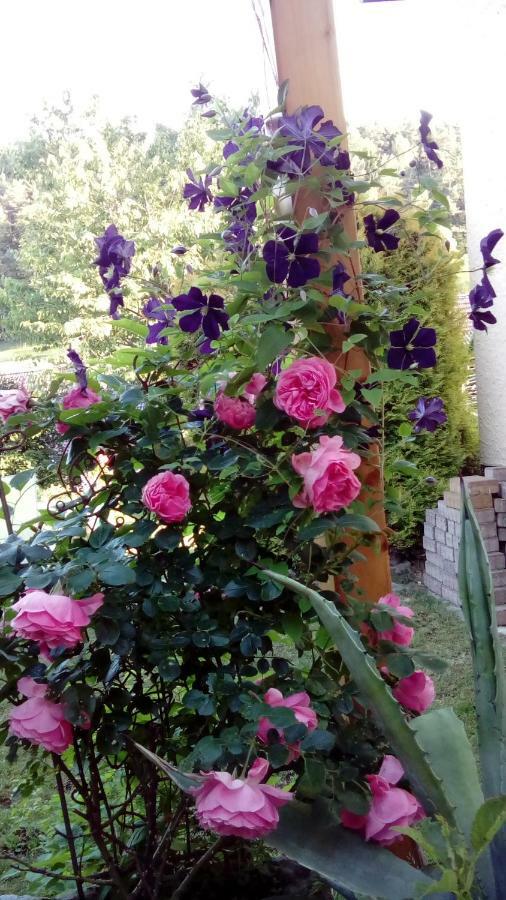 Mit Gartenblick * Eckersdorf