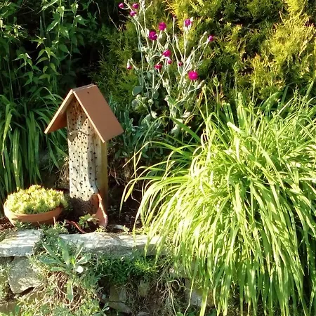 Apartment Mit Gartenblick Eckersdorf Extérieur photo