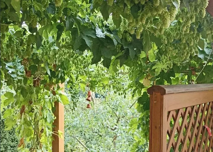 Apartment mit Gartenblick