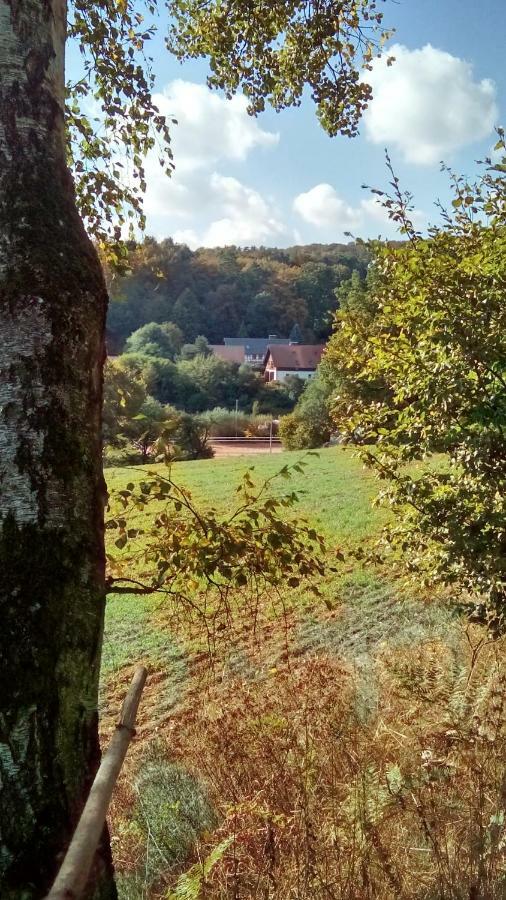 Mit Gartenblick Apartment