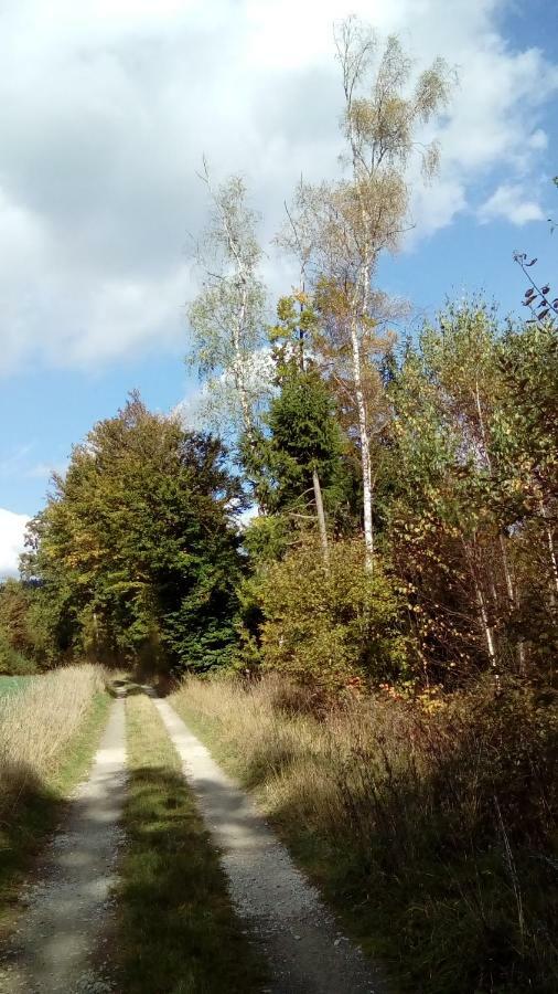 Appartement Mit Gartenblick Eckersdorf