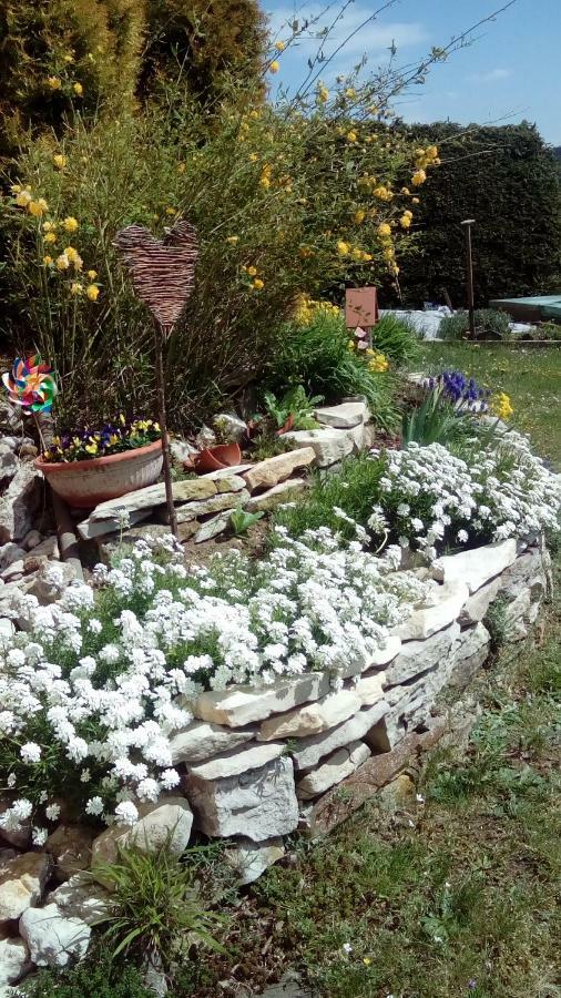 Apartment Mit Gartenblick *