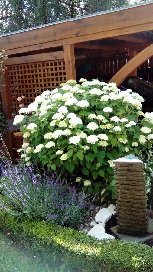 Appartement Mit Gartenblick Eckersdorf